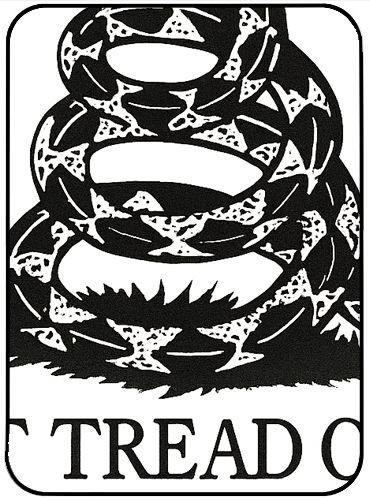 Closeup image of 'Don't Tread on Me' symbol